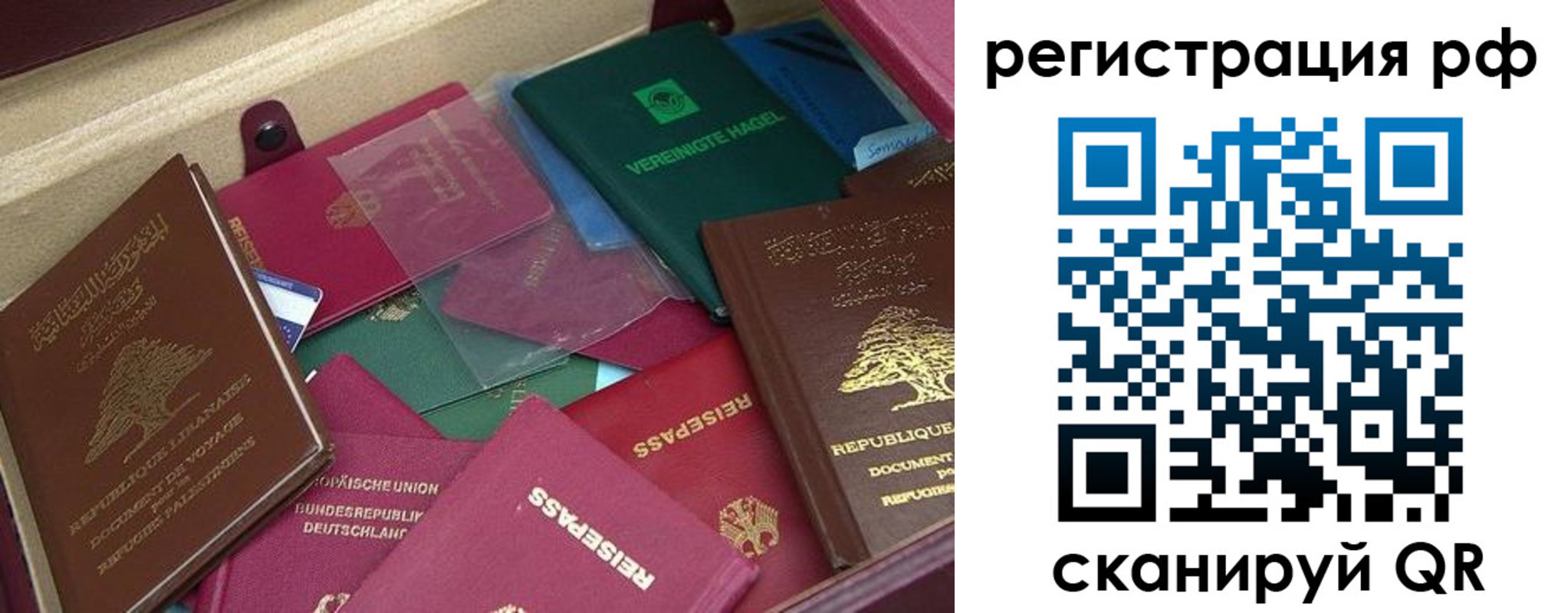 прописка от собственника в Зернограде
